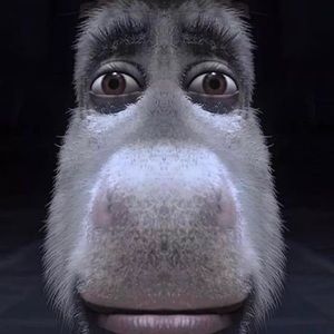 Meet your Posher, Eli